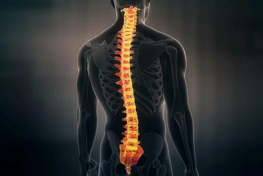 As curvaturas da columna vertebral causan dor nas costas na rexión lumbar